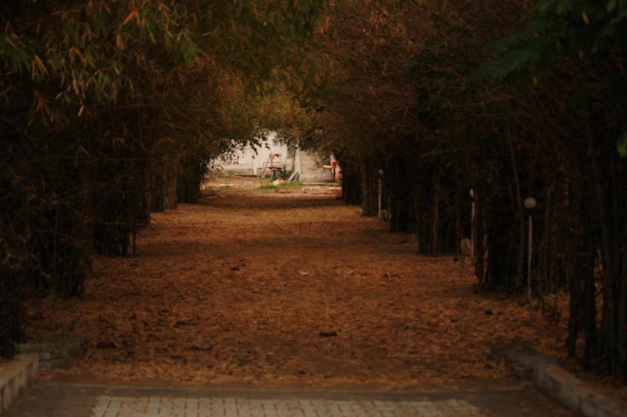 Vividearth Resorts Bandipūr Esterno foto